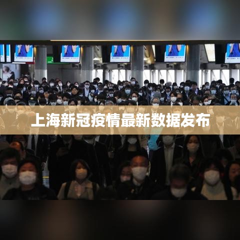 上海新冠疫情最新數(shù)據(jù)發(fā)布