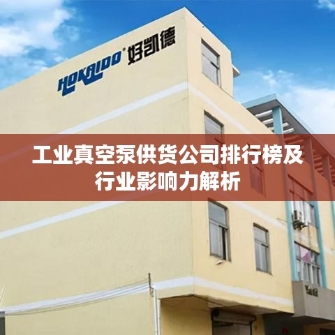 工業(yè)真空泵供貨公司排行榜及行業(yè)影響力解析