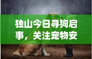 獨(dú)山今日尋狗啟事，關(guān)注寵物安全，最新消息牽動(dòng)人心