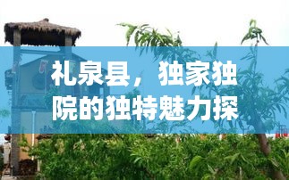 禮泉縣，獨(dú)家獨(dú)院的獨(dú)特魅力探索