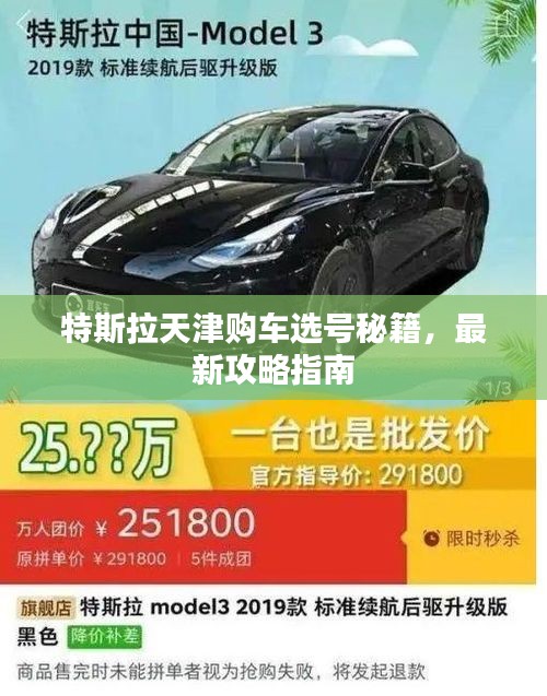 特斯拉天津購車選號秘籍，最新攻略指南