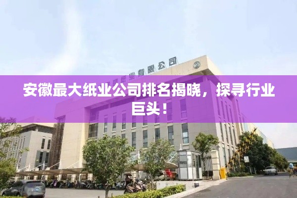 安徽最大紙業(yè)公司排名揭曉，探尋行業(yè)巨頭！