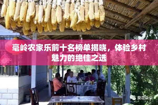 毫嶺農(nóng)家樂前十名榜單揭曉，體驗鄉(xiāng)村魅力的絕佳之選