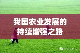 我國農(nóng)業(yè)發(fā)展的持續(xù)增強之路