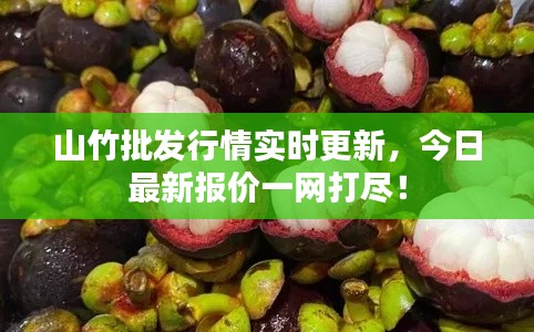 山竹批發(fā)行情實(shí)時(shí)更新，今日最新報(bào)價(jià)一網(wǎng)打盡！