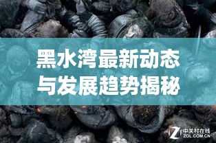 黑水灣最新動態(tài)與發(fā)展趨勢揭秘，本地新聞頭條全掌握