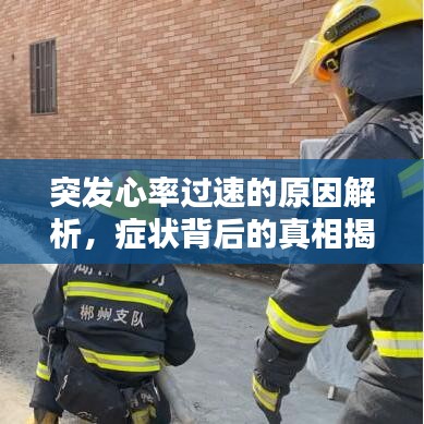突發(fā)心率過速的原因解析，癥狀背后的真相揭秘