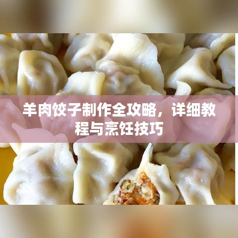 羊肉餃子制作全攻略，詳細(xì)教程與烹飪技巧