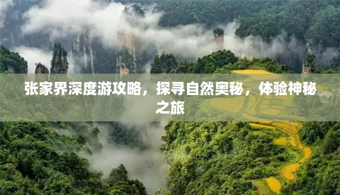 張家界深度游攻略，探尋自然奧秘，體驗(yàn)神秘之旅