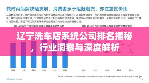 遼寧洗車店系統(tǒng)公司排名揭秘，行業(yè)洞察與深度解析