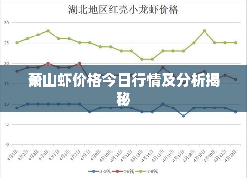 蕭山蝦價格今日行情及分析揭秘