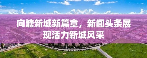 向塘新城新篇章，新聞頭條展現(xiàn)活力新城風(fēng)采