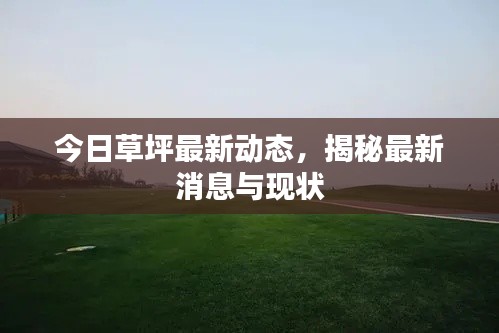 今日草坪最新動態(tài)，揭秘最新消息與現(xiàn)狀