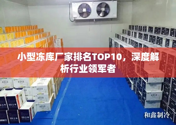 小型凍庫廠家排名TOP10，深度解析行業(yè)領(lǐng)軍者