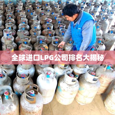 全球進(jìn)口LPG公司排名大揭秘