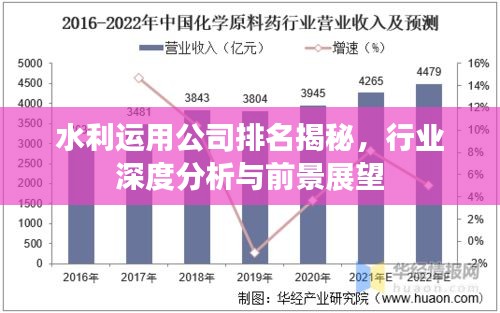 水利運用公司排名揭秘，行業(yè)深度分析與前景展望