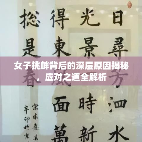 女子挑釁背后的深層原因揭秘，應(yīng)對之道全解析
