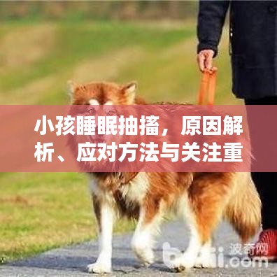 小孩睡眠抽搐，原因解析、應(yīng)對方法與關(guān)注重點(diǎn)