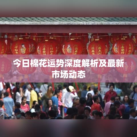 今日棉花運(yùn)勢深度解析及最新市場動(dòng)態(tài)