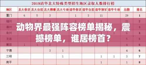 動物界最強(qiáng)陣容榜單揭秘，震撼榜單，誰居榜首？