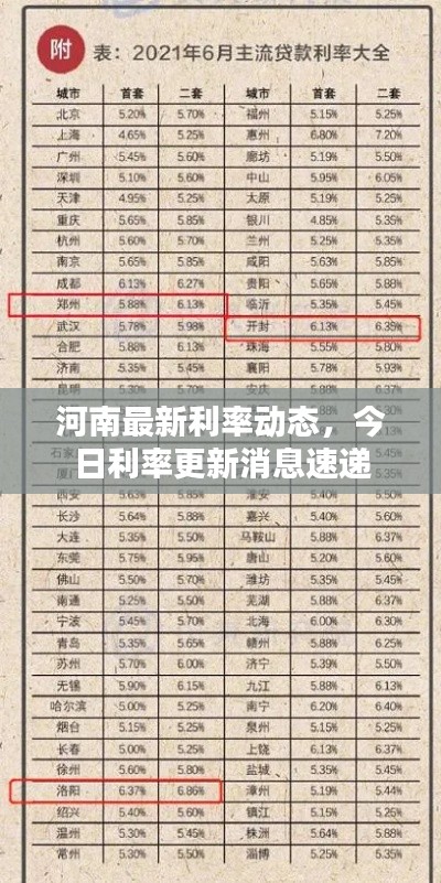 河南最新利率動態(tài)，今日利率更新消息速遞