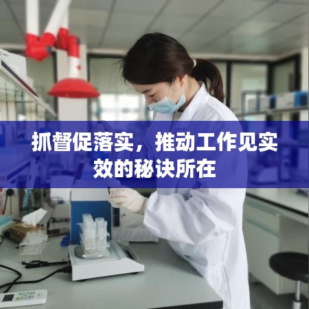 抓督促落實(shí)，推動(dòng)工作見(jiàn)實(shí)效的秘訣所在