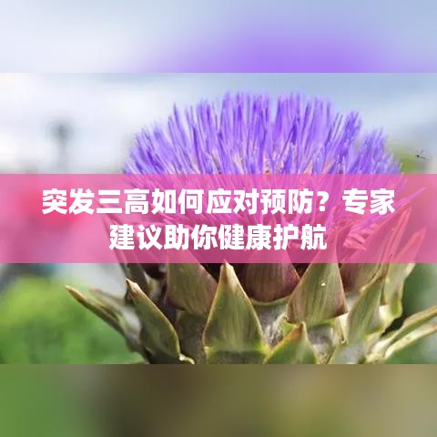 突發(fā)三高如何應(yīng)對(duì)預(yù)防？專家建議助你健康護(hù)航