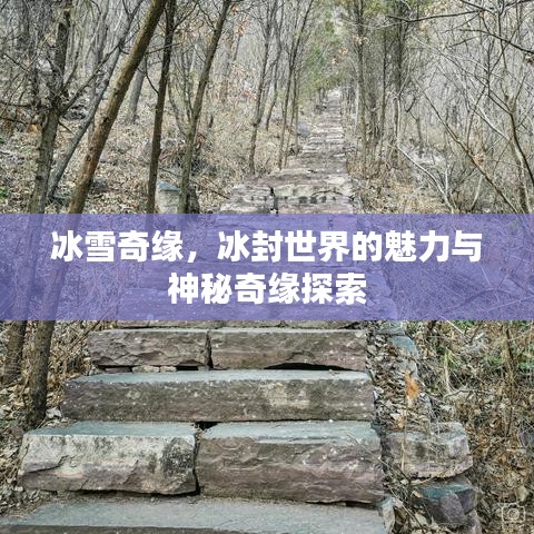 冰雪奇緣，冰封世界的魅力與神秘奇緣探索