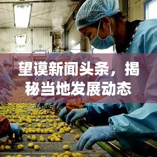望謨新聞?lì)^條，揭秘當(dāng)?shù)匕l(fā)展動(dòng)態(tài)與亮眼圖片薈萃