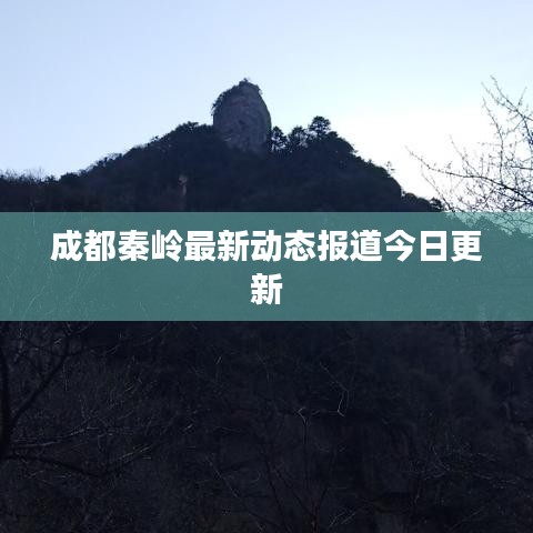成都秦嶺最新動(dòng)態(tài)報(bào)道今日更新