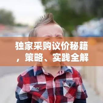 獨(dú)家采購議價(jià)秘籍，策略、實(shí)踐全解析