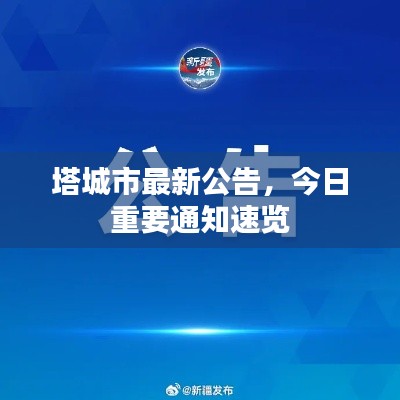 塔城市最新公告，今日重要通知速覽