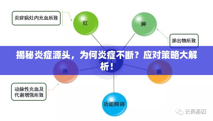 揭秘炎癥源頭，為何炎癥不斷？應(yīng)對策略大解析！