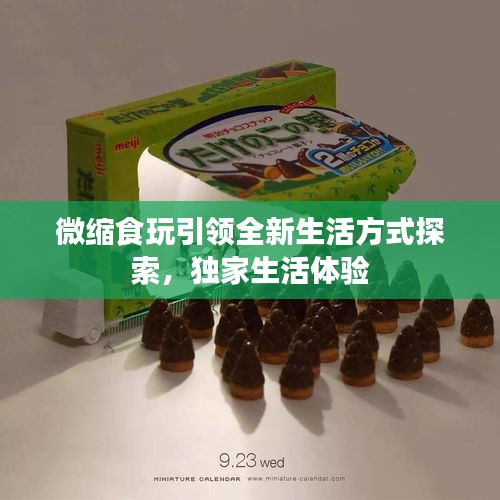 微縮食玩引領全新生活方式探索，獨家生活體驗