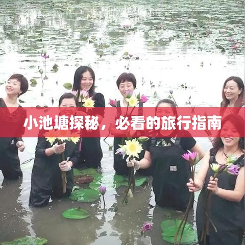 小池塘探秘，必看的旅行指南