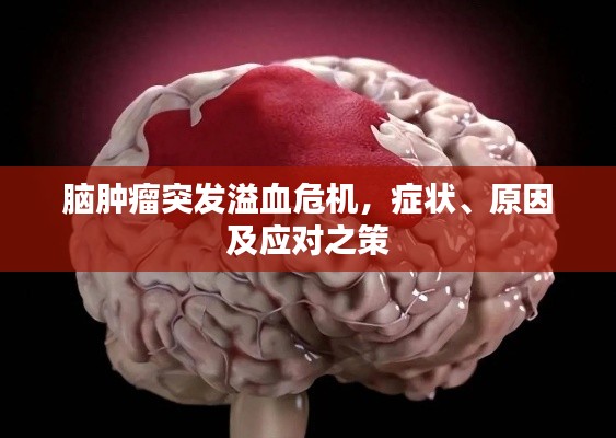 腦腫瘤突發(fā)溢血危機(jī)，癥狀、原因及應(yīng)對之策