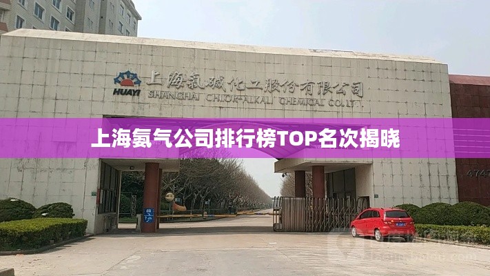 上海氨氣公司排行榜TOP名次揭曉