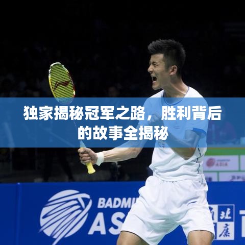 獨家揭秘冠軍之路，勝利背后的故事全揭秘
