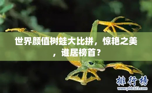 世界顏值樹蛙大比拼，驚艷之美，誰居榜首？