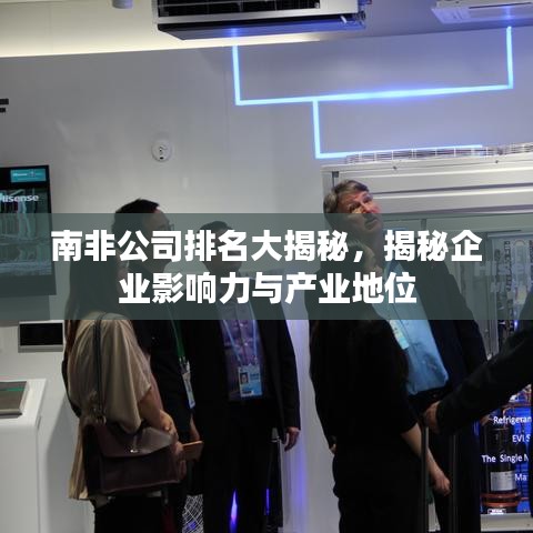 南非公司排名大揭秘，揭秘企業(yè)影響力與產(chǎn)業(yè)地位