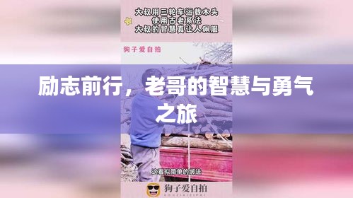 勵志前行，老哥的智慧與勇氣之旅