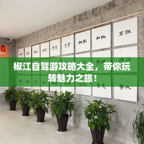 椒江自駕游攻略大全，帶你玩轉(zhuǎn)魅力之旅！