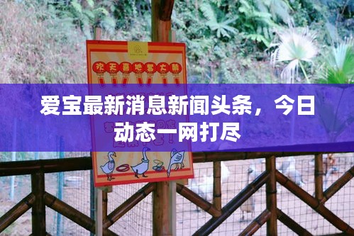 愛寶最新消息新聞頭條，今日動態(tài)一網(wǎng)打盡