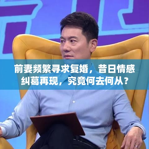 前妻頻繁尋求復婚，昔日情感糾葛再現，究竟何去何從？