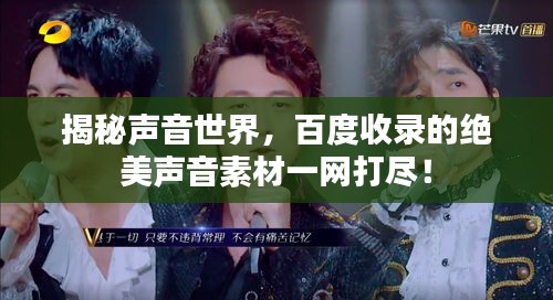 揭秘聲音世界，百度收錄的絕美聲音素材一網打盡！
