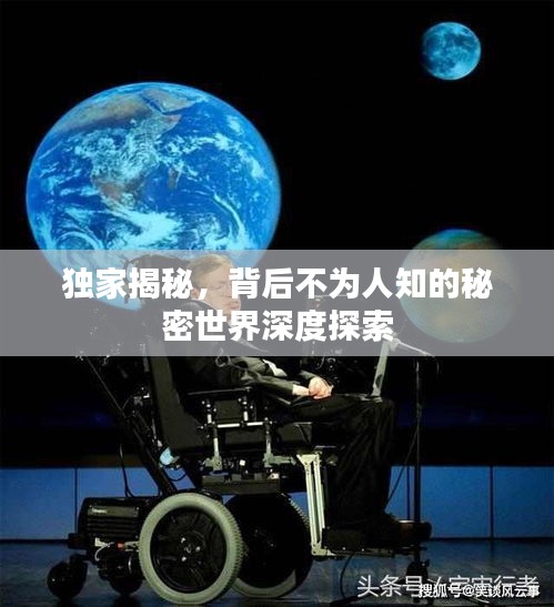 獨家揭秘，背后不為人知的秘密世界深度探索