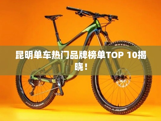 昆明單車熱門品牌榜單TOP 10揭曉！