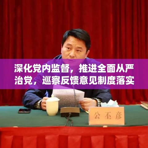 深化黨內(nèi)監(jiān)督，推進(jìn)全面從嚴(yán)治黨，巡察反饋意見(jiàn)制度落實(shí)行動(dòng)指南