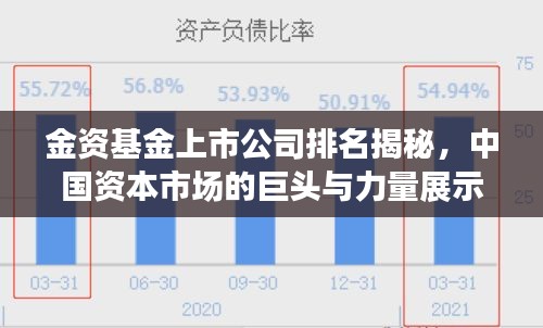 金資基金上市公司排名揭秘，中國資本市場的巨頭與力量展示