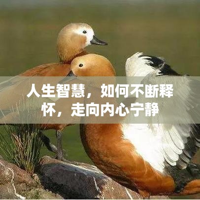 人生智慧，如何不斷釋懷，走向內(nèi)心寧靜
